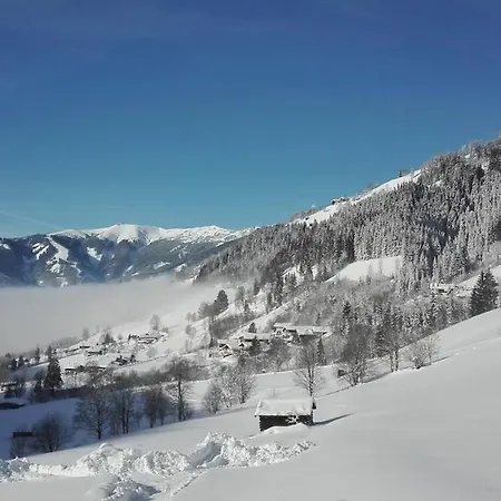 Lejlighed Stoffenhof Zell am See