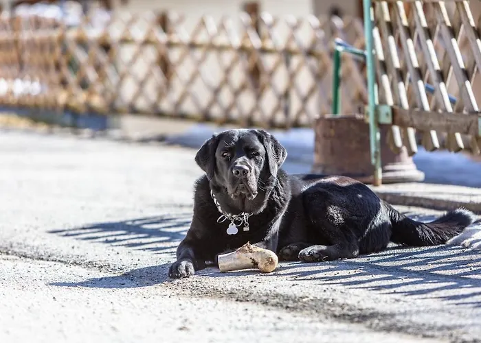 Stoffenhof Lejlighed Zell am See