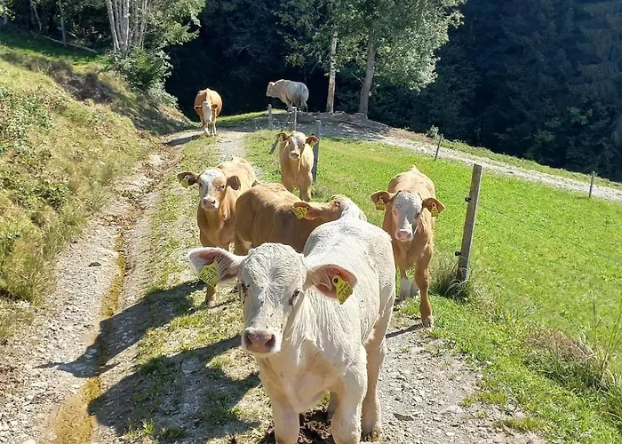 Stoffenhof Lejlighed