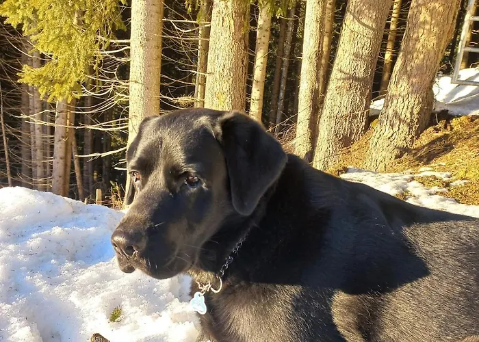 Stoffenhof Apartament