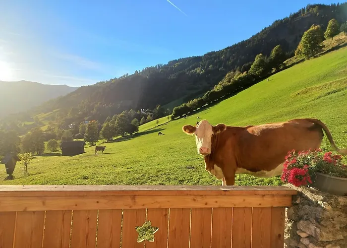 Stoffenhof Apartament *