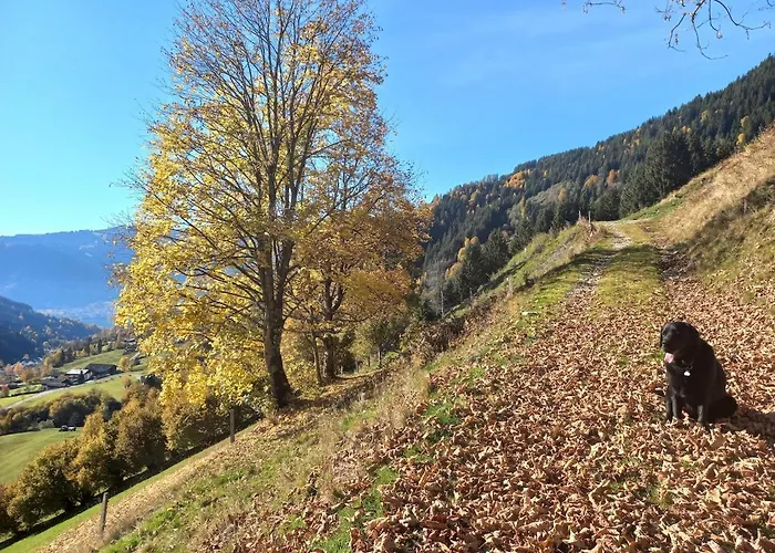 Stoffenhof Lejlighed