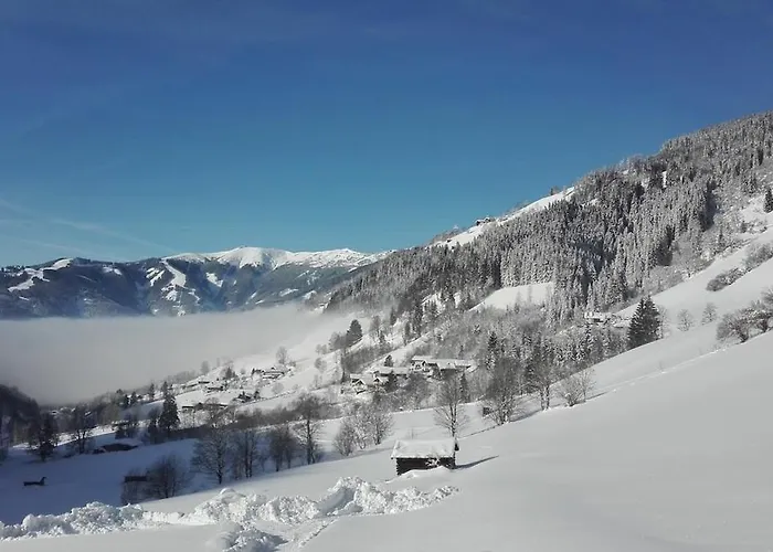 Lejlighed Stoffenhof Zell am See